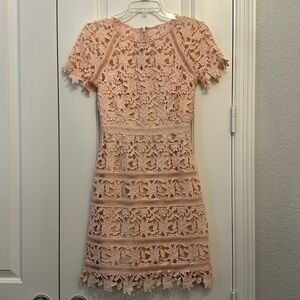 Eliza J. Pink Lace A-Line Dress. Size 2.